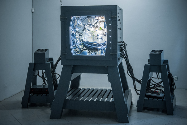 Biological Designweb